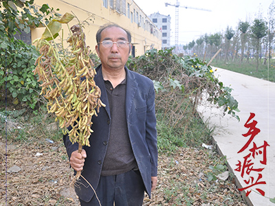 永城高產(chǎn)大豆培育人