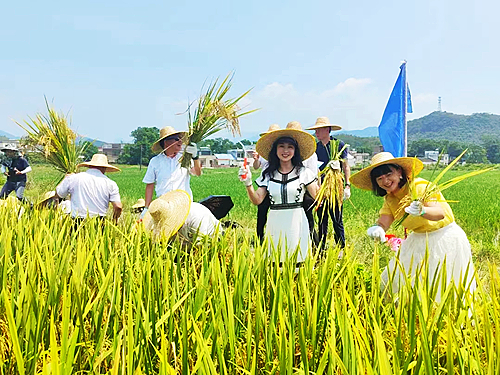 開鐮儀式現(xiàn)場.jpg