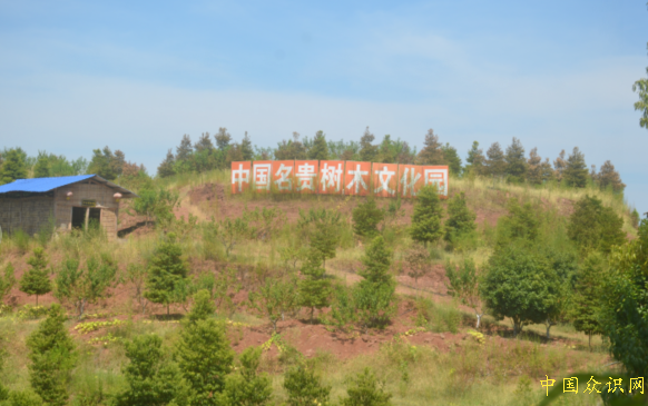 QQ截圖20220818200742.png