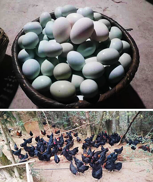 QQ截圖20230102171953.jpg