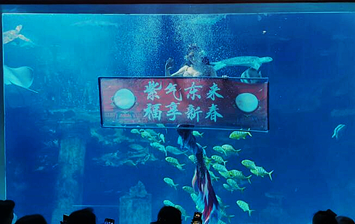 QQ截圖20230116215612.jpg