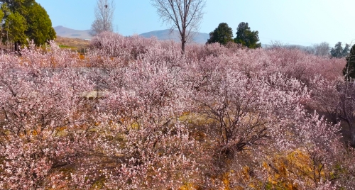 微信圖片_20230307091147 - 復(fù)件(1).jpg